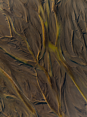 Aerial view of intricate braided river patterns with dark volcanic sand and vibrant green glacial meltwater channels in Skaftarhreppur Iceland.