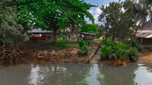 Aerial view of a riverbank with lush mangrove trees small wooden structures and people gathered near the water in Minima Rivers Nigeria.