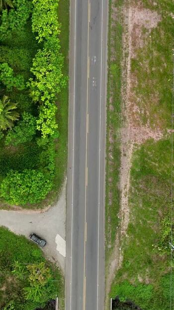Aerial view of the road through Llorona Palm Fields Costa Rica.