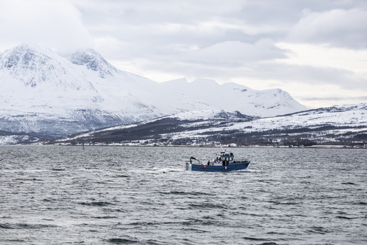 View of a blue fishing boat navigating the cold waters of a fjord with snow covered mountains in the background Tromso Troms Norway.