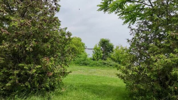 Aerial view of the Ridgetown Freighter ship seen through trees Canada.