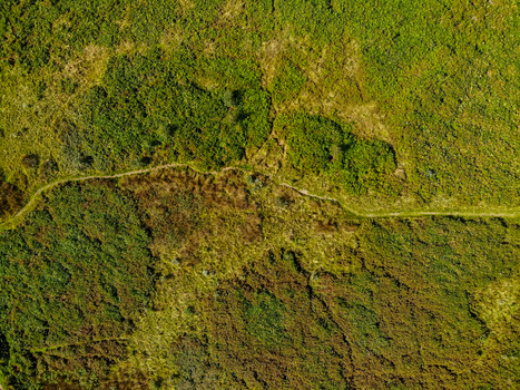 Aerial view of the historic Castle Ring hillfort featuring grassy terrain and a winding dirt path in Rugeley England United Kingdom.