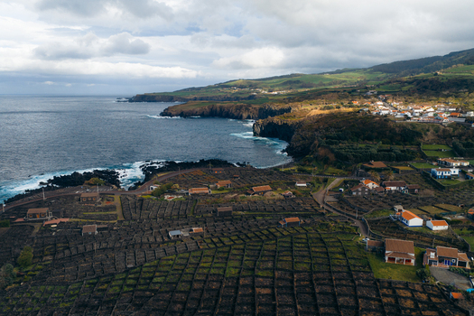 Aerial view of the unique volcanic stone walled vineyards and coastal houses along the rugged shoreline under a cloudy sky in Biscoitos Azores Portugal. Aerial view of the unique volcanic stone walled vineyards and coastal houses along the rugged shoreline under a cloudy sky in Biscoitos Azores Portugal.