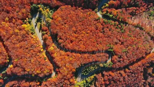 Aerial view of winding road in Carpathian Mountains Romania. Aerial view of winding road in Carpathian Mountains Romania.
