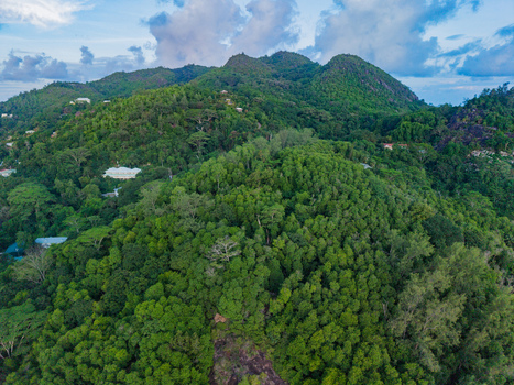 Aerial view of a lush landscape with dense green vegetation covering the hilly terrain under a partly cloudy sky Quatre Bornes Mahe Island Seychelles. Aerial view of a lush landscape with dense green vegetation covering the hilly terrain under a partly cloudy sky Quatre Bornes Mahe Island Seychelles.