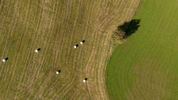 Aerial view of hay bales scattered across a harvested field next to a lush green meadow with a single tree in Poland.