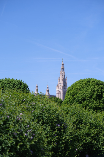 View of the ornate neo Gothic tower of the Vienna City Hall rising above lush green bushes under a clear blue sky in Vienna Vienna Austria. View of the ornate neo Gothic tower of the Vienna City Hall rising above lush green bushes under a clear blue sky in Vienna Vienna Austria.