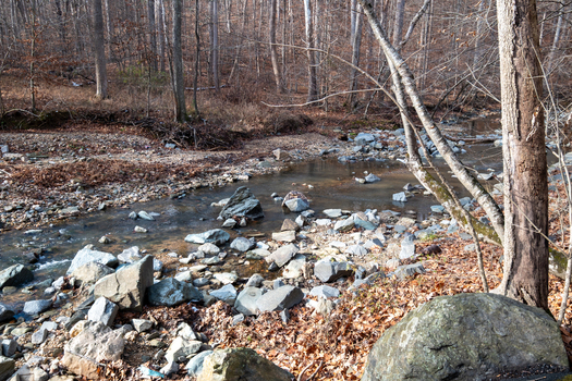 View of a shallow stream rocks scattered within cutting through a forest of bare trees and fallen leaves Scott s Run Nature Preserve Virginia United States. View of a shallow stream rocks scattered within cutting through a forest of bare trees and fallen leaves Scott s Run Nature Preserve Virginia United States.