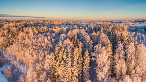 Aerial view of a snow covered forest with frost covered trees illuminated by the warm light of the golden hour in Latvia. Aerial view of a snow covered forest with frost covered trees illuminated by the warm light of the golden hour in Latvia.