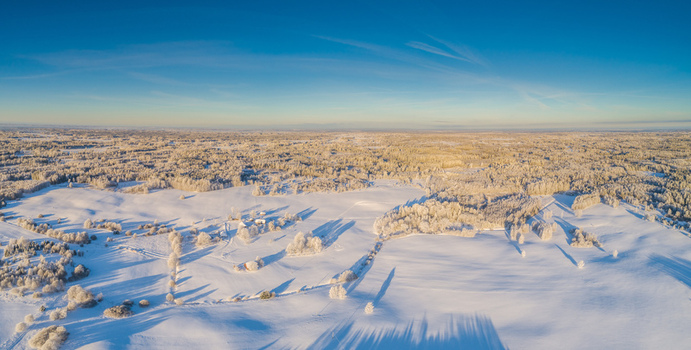 Aerial view of a vast snow covered landscape featuring frozen fields dense frost covered forests and long shadows cast by the low winter sun under a clear blue sky in Latvia. Aerial view of a vast snow covered landscape featuring frozen fields dense frost covered forests and long shadows cast by the low winter sun under a clear blue sky in Latvia.