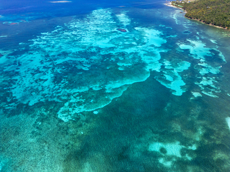 Aerial view of the vibrant coral reefs and turquoise waters along the lush coastline of Guanaja Bay Islands Department Honduras. Aerial view of the vibrant coral reefs and turquoise waters along the lush coastline of Guanaja Bay Islands Department Honduras.