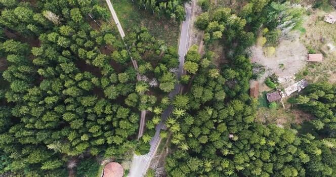 Aerial view of a road winding through a dense evergreen forest Italy. Aerial view of a road winding through a dense evergreen forest Italy.