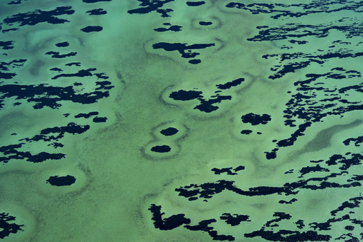 Aerial view of the intricate turquoise and deep blue ocean patterns of the seagrass meadows in the shallow waters of the Shire of Shark Bay Western Australia Australia. Aerial view of the intricate turquoise and deep blue ocean patterns of the seagrass meadows in the shallow waters of the Shire of Shark Bay Western Australia Australia.