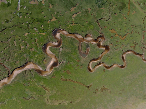Aerial view of abstract tidal patterns at Culbin Sands with winding water channels cutting through vibrant green salt marshes and sandy banks in Nairn Scotland United Kingdom. Aerial view of abstract tidal patterns at Culbin Sands with winding water channels cutting through vibrant green salt marshes and sandy banks in Nairn Scotland United Kingdom.
