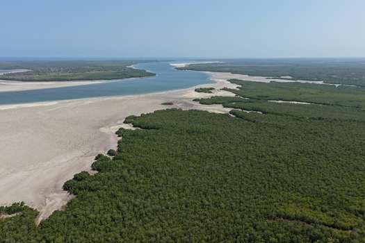 Aerial view of Mida Creek Nature Camp with lush mangrove forests winding tidal channels sandy banks and clear blue water in Watamu Kilifi County Kenya.
