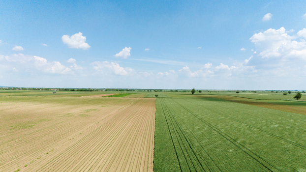 Aerial view of vast agricultural fields with green crops and plowed soil under a clear blue sky in Novi Sad Vojvodina Serbia. Aerial view of vast agricultural fields with green crops and plowed soil under a clear blue sky in Novi Sad Vojvodina Serbia.