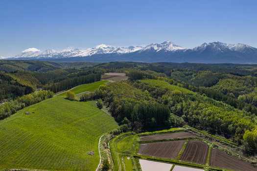 Aerial view of rolling green agricultural fields and lush forests with snow capped mountains in the background under a clear blue sky in Furano Hokkaido Japan. Aerial view of rolling green agricultural fields and lush forests with snow capped mountains in the background under a clear blue sky in Furano Hokkaido Japan.