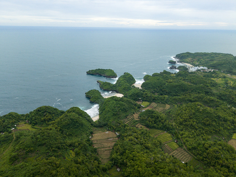 Aerial view of lush emerald hills meeting the deep sapphire ocean along a rugged coastline revealing secluded white sand beaches Gunungkidul Regency Special Region of Yogyakarta Indonesia. Aerial view of lush emerald hills meeting the deep sapphire ocean along a rugged coastline revealing secluded white sand beaches Gunungkidul Regency Special Region of Yogyakarta Indonesia.