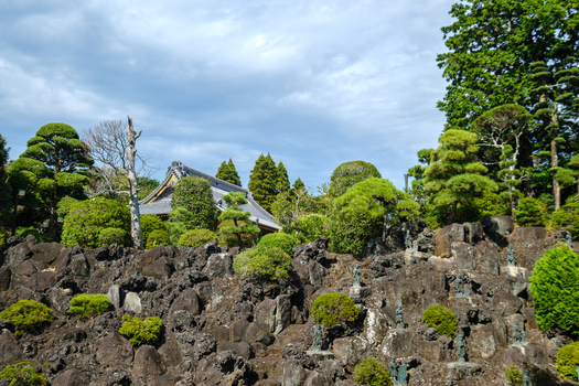 View of a serene Japanese garden with meticulously pruned trees and weathered stone statues a temple roof peeking through Narita Chiba Japan. View of a serene Japanese garden with meticulously pruned trees and weathered stone statues a temple roof peeking through Narita Chiba Japan.