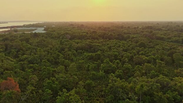 Aerial view of Delta Mahakam in Anggana Indonesia.