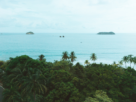 Aerial view of lush tropical vegetation and palm trees along the coastline overlooking the blue ocean with small islands in the distance in Costa Rica.