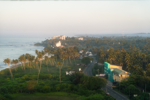 View of the tropical coastline with palm trees a winding road and buildings under a soft morning light in Galle Southern Province Sri Lanka.