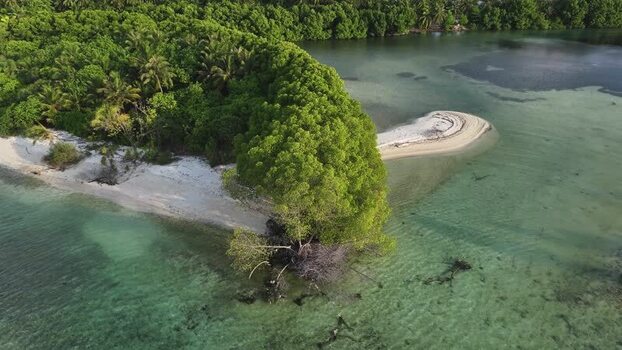 Aerial view of lush mangroves and white sand beaches in Goidhoo Maldives. Aerial view of lush mangroves and white sand beaches in Goidhoo Maldives.