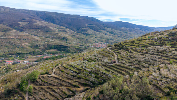 Aerial view of tiered terraces cascade down the hillside meeting the distant village nestled amidst rolling mountains under a vast sky Cabezuela del Valle Extremadura Spain.