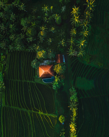 Aerial view of a terracotta roofed villa nestles amidst the vibrant green rice terraces and lush palm trees Tabanan Bali Indonesia. Aerial view of a terracotta roofed villa nestles amidst the vibrant green rice terraces and lush palm trees Tabanan Bali Indonesia.