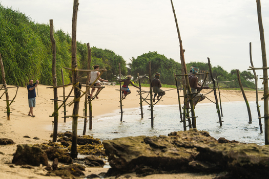 Sri Lanka 03 February 2026 View of stilt fishermen perched on wooden poles in the shallow water with a tourist taking a photo on a sandy beach with lush vegetation.