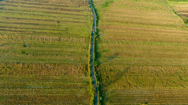 Aerial view of a narrow road cutting through vast agricultural fields with golden crops under warm sunlight in Kola Goa India. Aerial view of a narrow road cutting through vast agricultural fields with golden crops under warm sunlight in Kola Goa India.