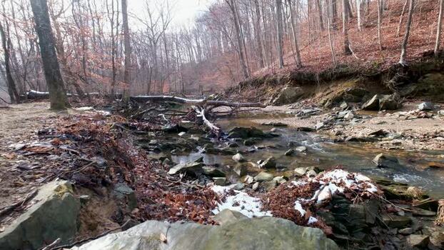 View of Scott s Run Nature Preserve with a rocky stream United States. View of Scott s Run Nature Preserve with a rocky stream United States.