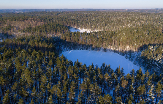 Aerial view of a frozen lake surrounded by a dense snow covered pine forest under clear winter light in Lithuania. Aerial view of a frozen lake surrounded by a dense snow covered pine forest under clear winter light in Lithuania.