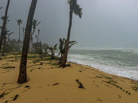 San Jose Tinian Northern Mariana Islands 06 July 2026 View of Jones Beach during Super Typhoon Bavi with palm trees swaying in strong winds debris on the sandy beach and rough ocean waves. San Jose Tinian Northern Mariana Islands 06 July 2026 View of Jones Beach during Super Typhoon Bavi with palm trees swaying in strong winds debris on the sandy beach and rough ocean waves.