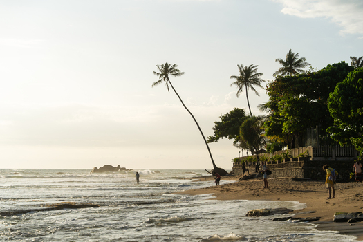 View of people walking on a sandy beach with leaning palm trees and ocean waves under a bright sky in Galle Southern Province Sri Lanka.