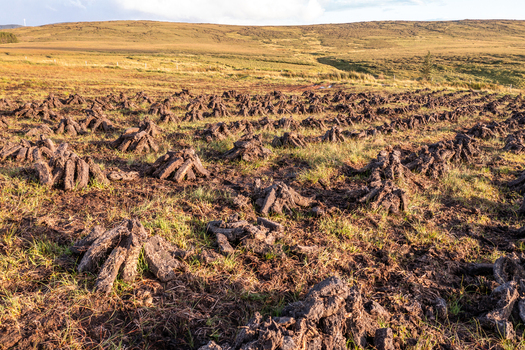 Aerial view of harvested peat sods drying in the bog at An Port with rolling hills in the background under golden hour light in Ardara County Donegal Ireland. Aerial view of harvested peat sods drying in the bog at An Port with rolling hills in the background under golden hour light in Ardara County Donegal Ireland.