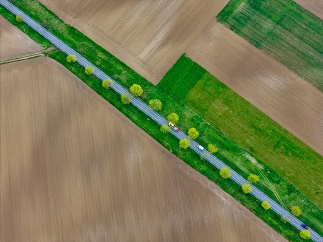 Aerial view of a straight road cutting through fields of brown and green lined with trees showing the first signs of spring Neuf Brisach Grand Est France.