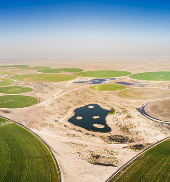 Aerial view of agricultural green circles in the middle of Saih Al Salam Desert in Dubai U.A.E.