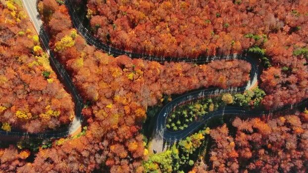 Aerial view of winding road in Carpathian Mountains Romania. Aerial view of winding road in Carpathian Mountains Romania.