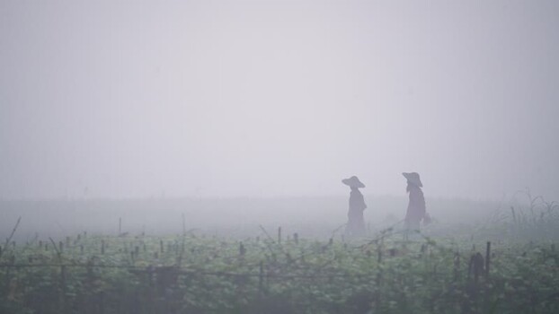 View of farmers walking through thick fog in Bogura Bangladesh. View of farmers walking through thick fog in Bogura Bangladesh.