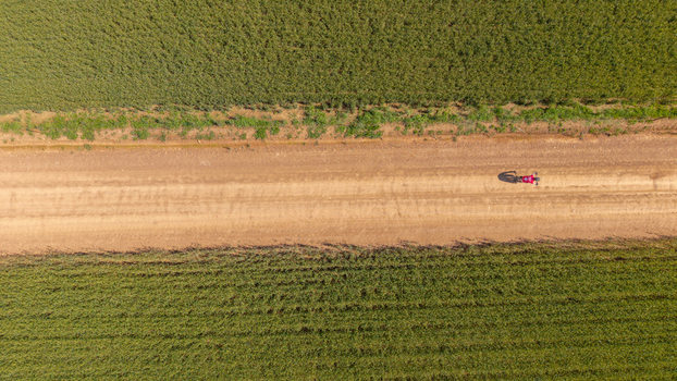 Aerial view of a lone cyclist riding a bicycle along a dusty dirt road flanked by vibrant green agricultural fields in the rural landscape of Greyton Western Cape South Africa.