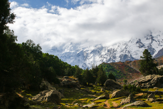 View of the snow capped Nanga Parbat mountain peak rising above the lush green meadows and pine forests of Fairy Meadow Gilgit Pakistan. View of the snow capped Nanga Parbat mountain peak rising above the lush green meadows and pine forests of Fairy Meadow Gilgit Pakistan.