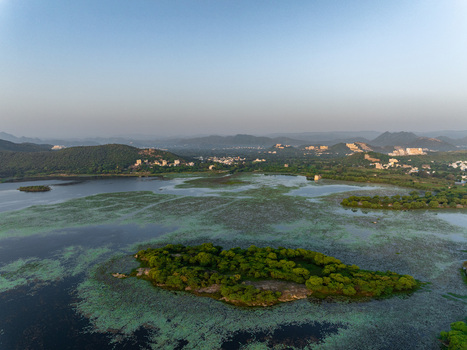 Aerial view of a lush green island in a large lake surrounded by rolling hills and distant urban structures under a clear sky in Udaipur Rajasthan India.