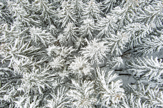 Brasov Brasov Romania 21 September 2026 Aerial view of a dense forest covered in fresh white snow in the Carpathian Mountains near Brasov Romania. Brasov Brasov Romania 21 September 2026 Aerial view of a dense forest covered in fresh white snow in the Carpathian Mountains near Brasov Romania.