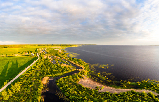 Aerial view of a serene lake bordered by lush green fields a winding dirt road and natural shoreline vegetation under a soft sky in Latvia. Aerial view of a serene lake bordered by lush green fields a winding dirt road and natural shoreline vegetation under a soft sky in Latvia.