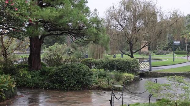 View of Royal Botanic Garden Sydney with pond and trees Australia.