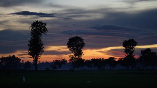 View of silhouetted trees at sunset Bangladesh. View of silhouetted trees at sunset Bangladesh.