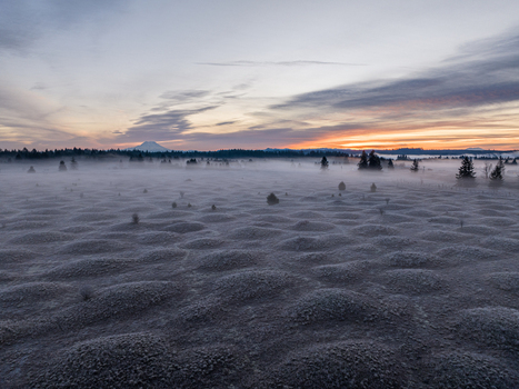 Aerial view of Mima Mounds Natural Area Preserve featuring frost covered mounds under a misty sunrise sky Olympia Washington United States.