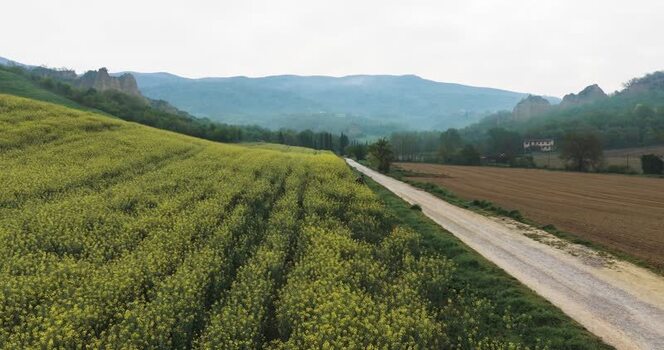 Aerial view of Balze del Valdarno rock formations and yellow fields Italy. Aerial view of Balze del Valdarno rock formations and yellow fields Italy.