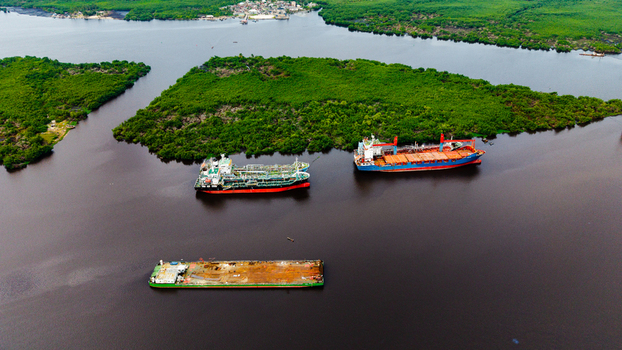 Aerial view of cargo ships tankers and a barge anchored in the Lagos Lagoon surrounded by dense mangrove vegetation in Lagos Lagos Nigeria.